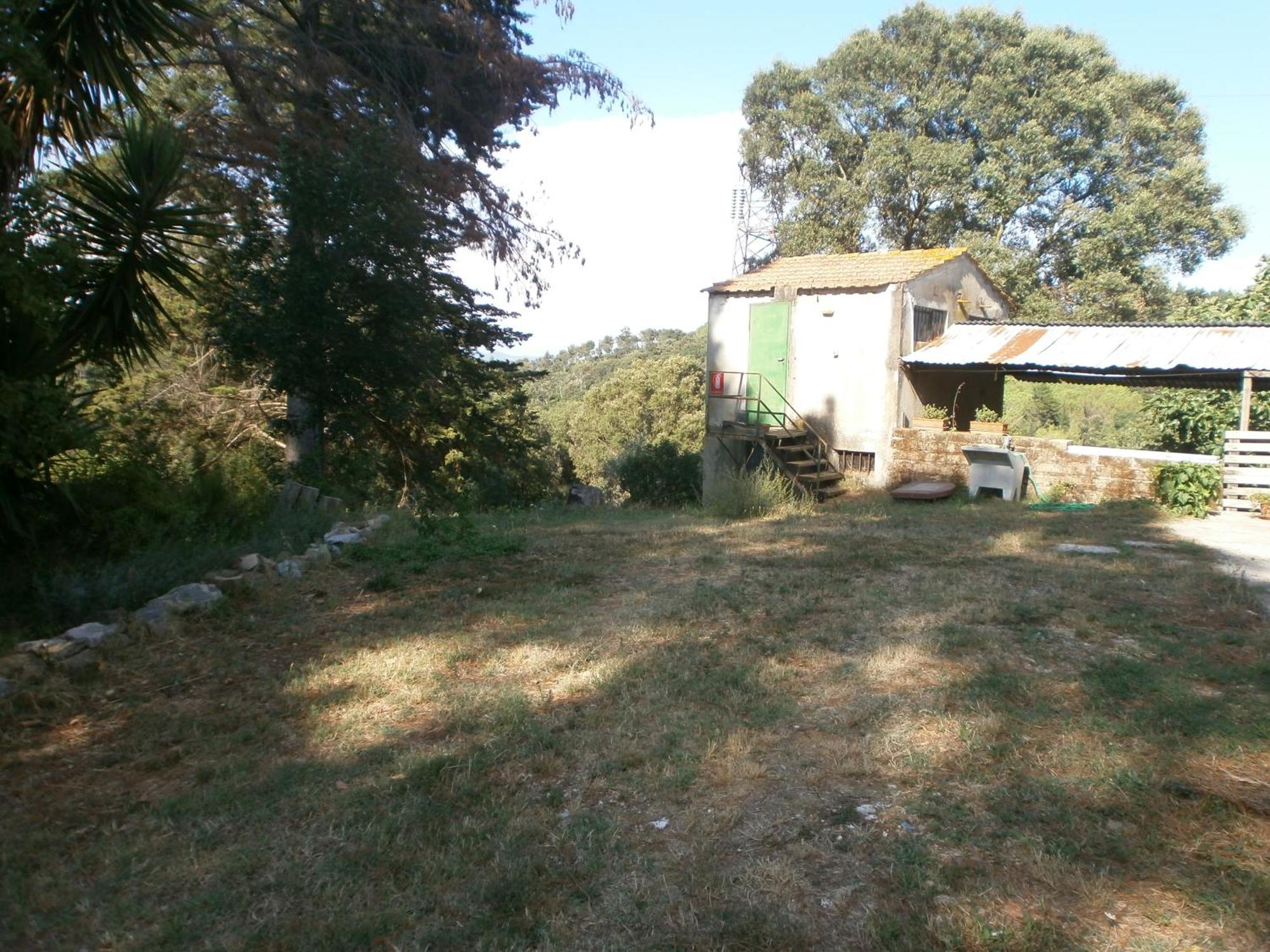Monolocale Di Meo Daire Suvereto Dış mekan fotoğraf
