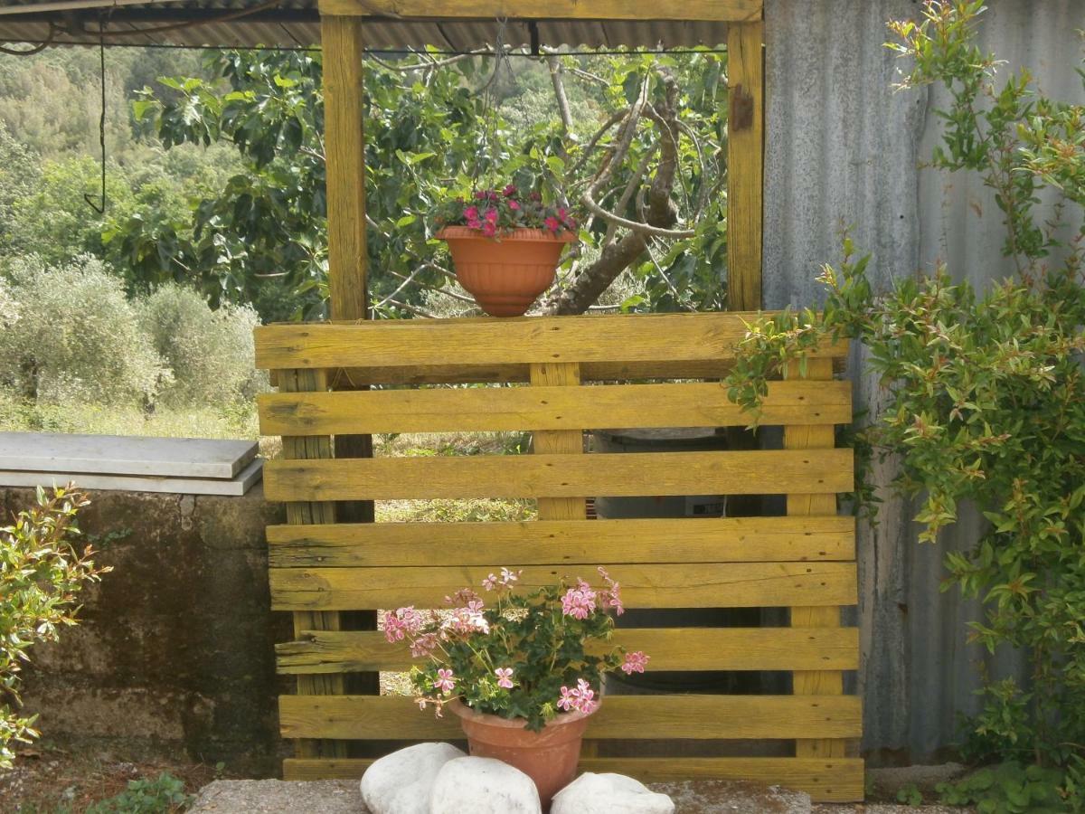 Monolocale Di Meo Daire Suvereto Dış mekan fotoğraf